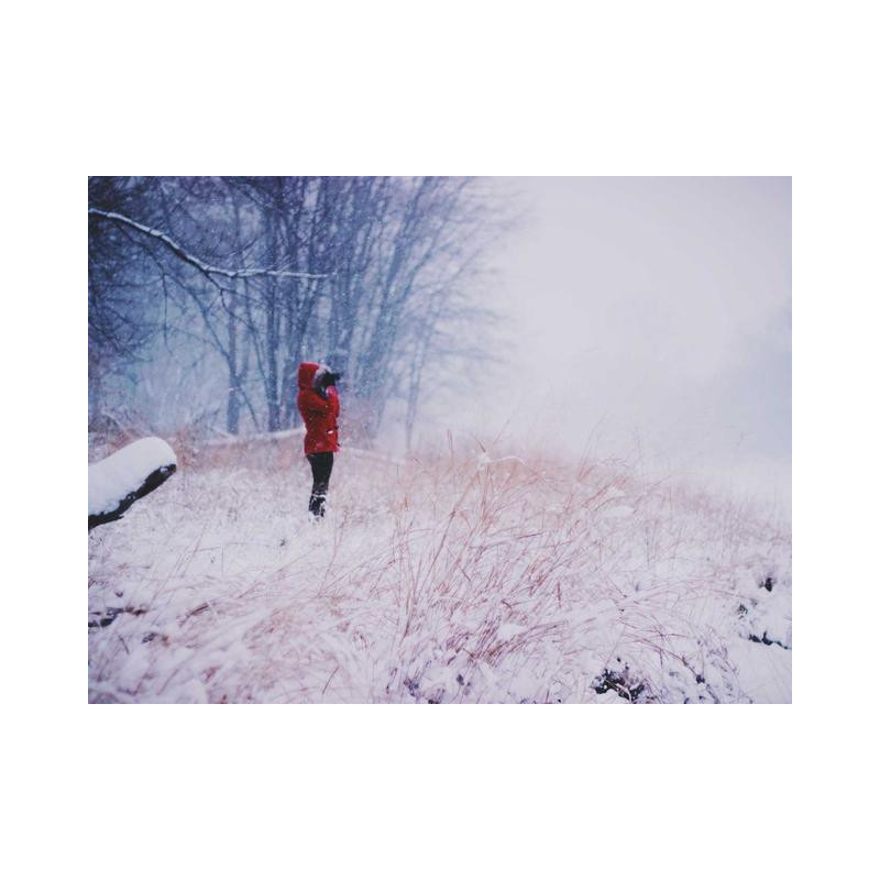 Durable Silk Plate pt-PT